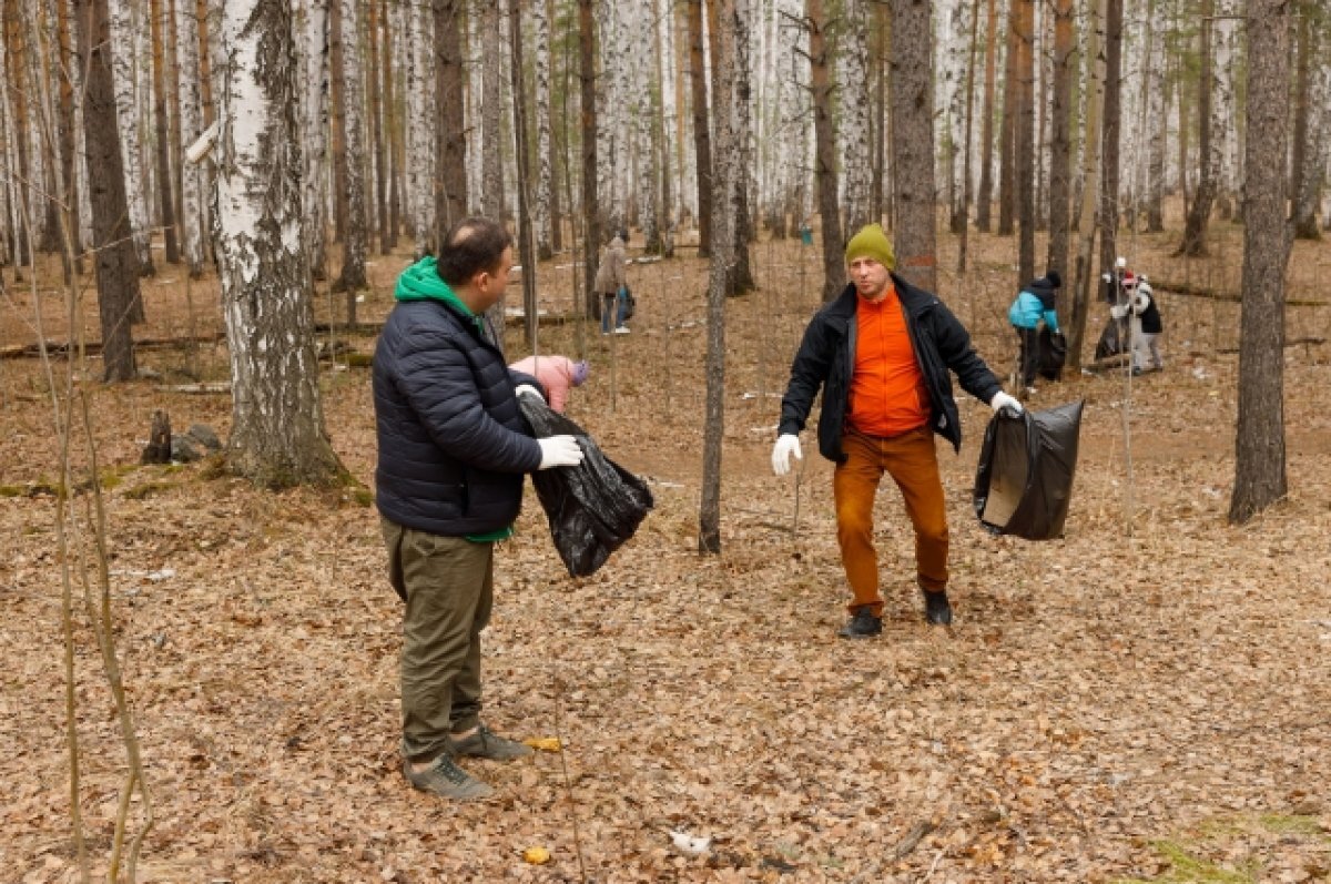    В Екатеринбурге жители Краснолесья провели субботник