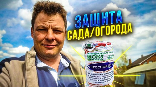 схема защиты моего сада и огорода - аминосил, фитоспорин, метаризин, хорус и актеллик