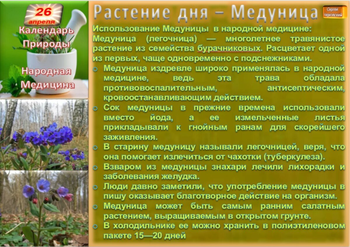 Приметы на 26 августа 2024 года. 26 Июня приметы.
