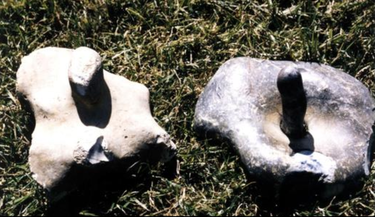 Доисторические солнечные часы, предположительно использовались 10000 лет тому назад. 