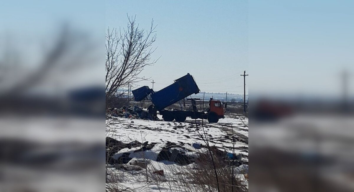 Фото: Татьяна Любомирская