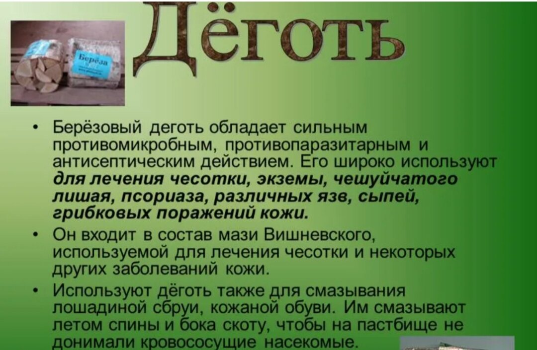 Из чего делают деготь