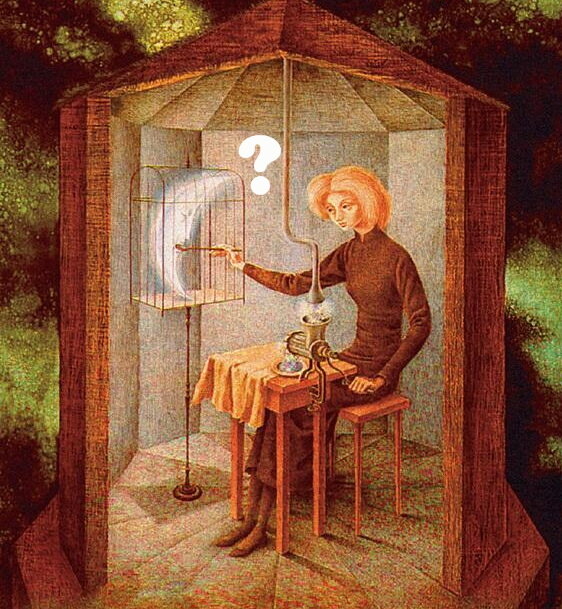 Фрагмент обложки книги Горана Петровича "Атлас, составленный небом"