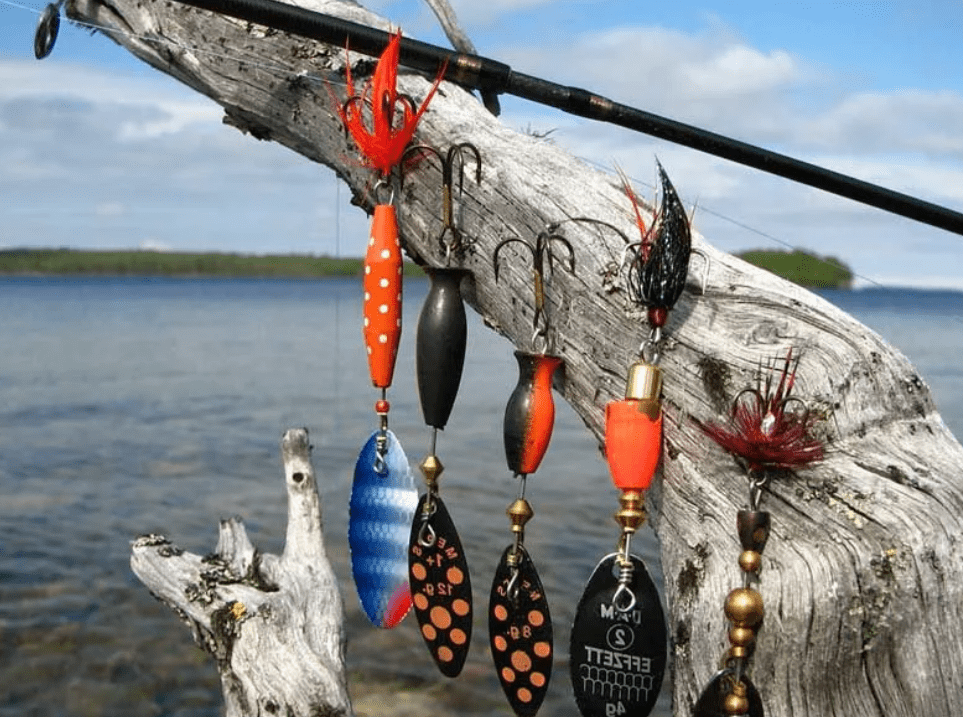 Фото с сайта: https://molkom-kazan.ru