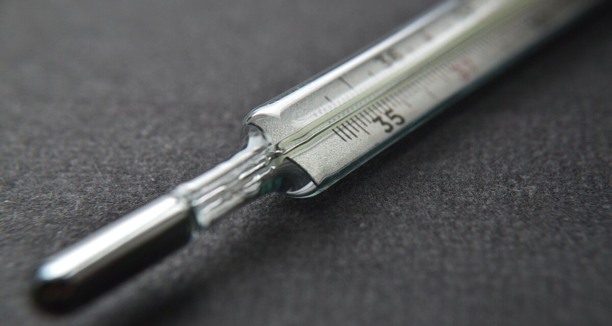     Как работает градусник: почему не меняет показания после измерения и что содержится внутри, если не ртуть?