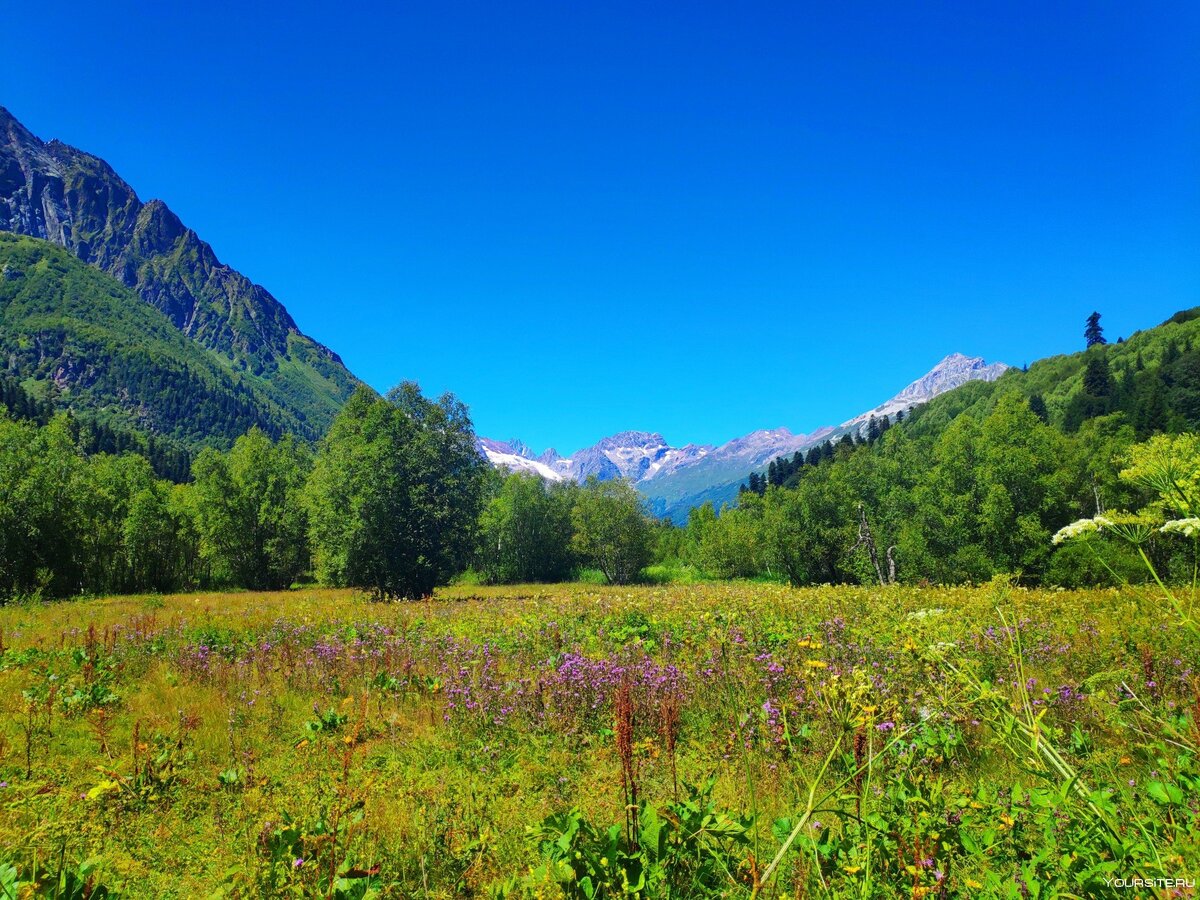 Домбайская поляна. Изображение из Яндекс Картинки.