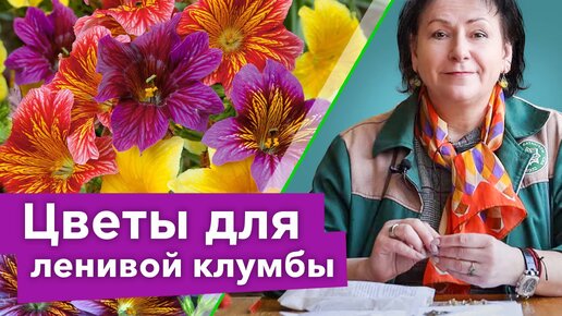 Такой красивой клумбы больше не будет ни у кого! 10 неприхотливых цветов, которые стоит посеять сразу в грунт в мае