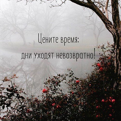 Свободный доступ Яндекс картинки