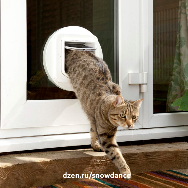 Двери для кошек