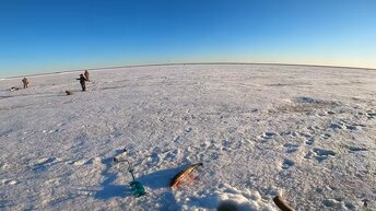 Рыбалка на Севере. Ловля налима по последнему льду.