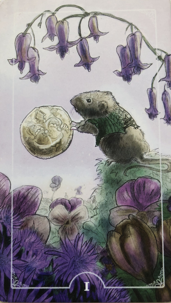 Вариант номер 1