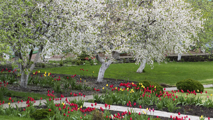 ФОТО:@NIKOLAY GYNGAZOV/GLOBALLOOKPRESS