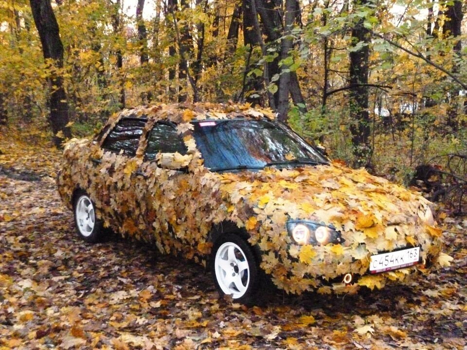 Замаскированная машина. Машина осенью. Осенний камуфляж. Камуфляж осень на авто. Камуфляж осень.