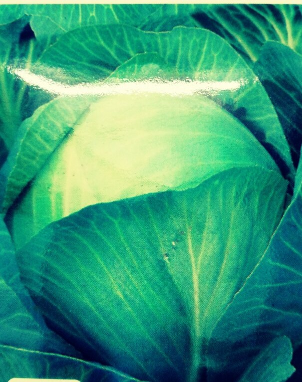 Вкус сладкий, сочный без горечи