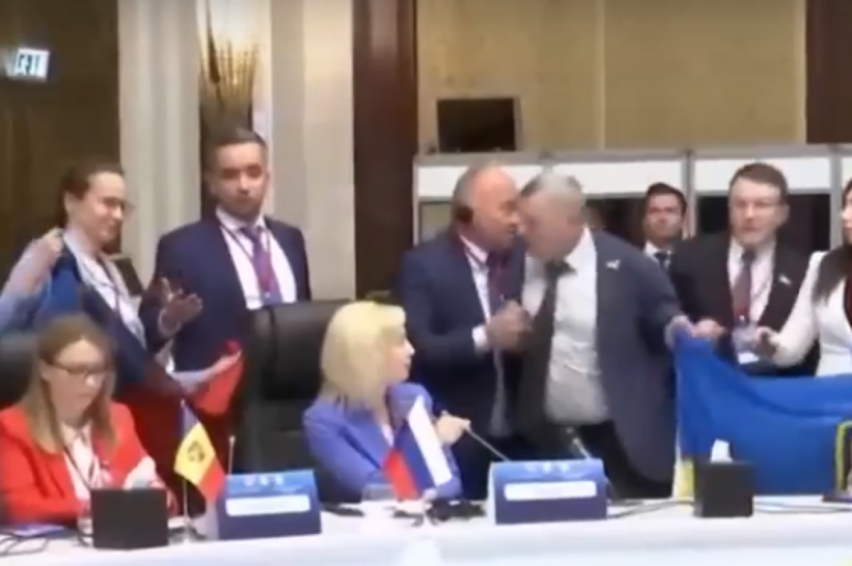    «Повторится снова». Накажут ли украинскую делегацию за потасовку в Анкаре?