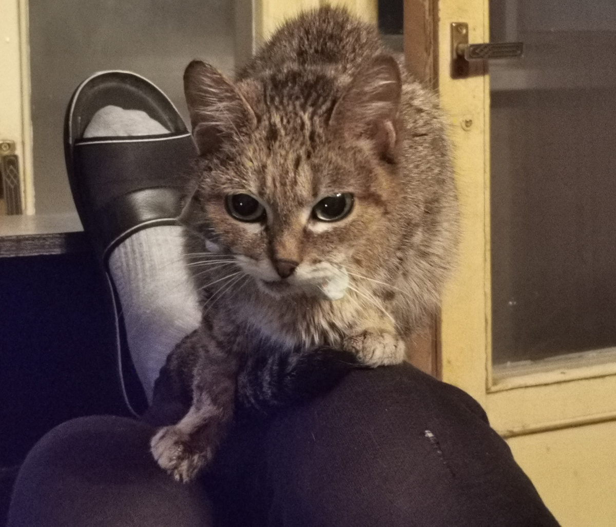 "Неудобно, но всё равно не уйду". Фото из личного архива автора. 