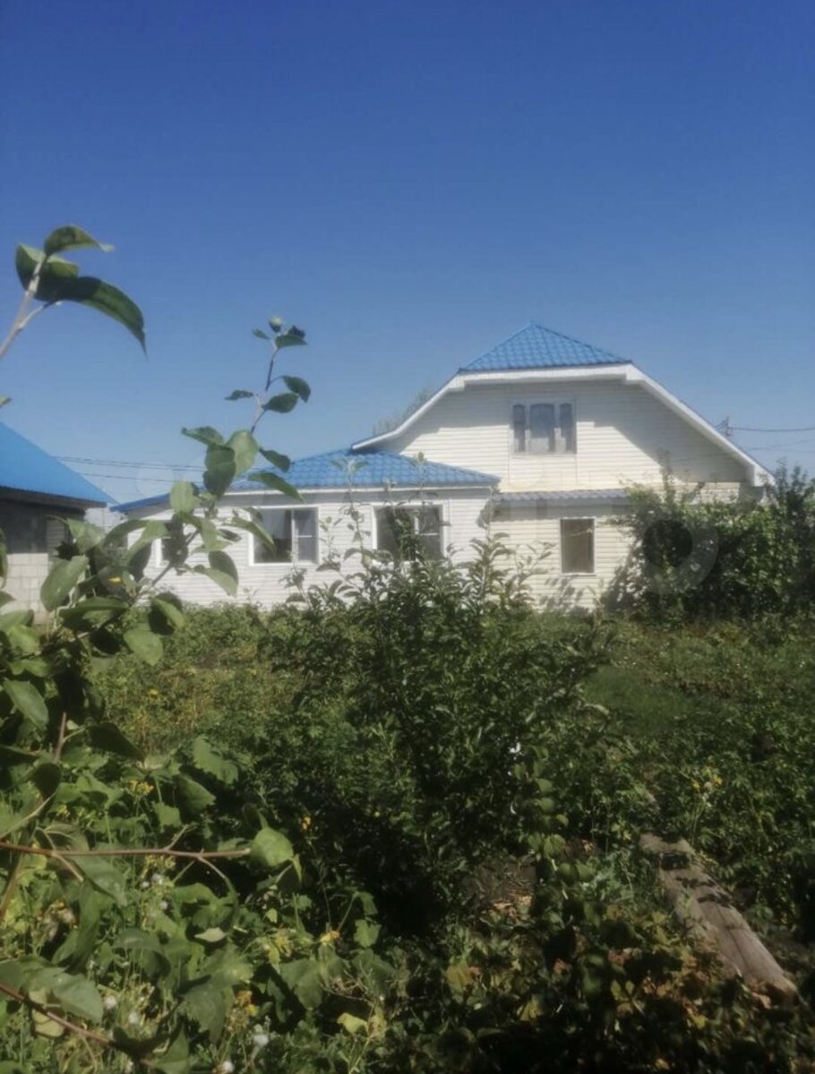 Фото с сайта «Авито»