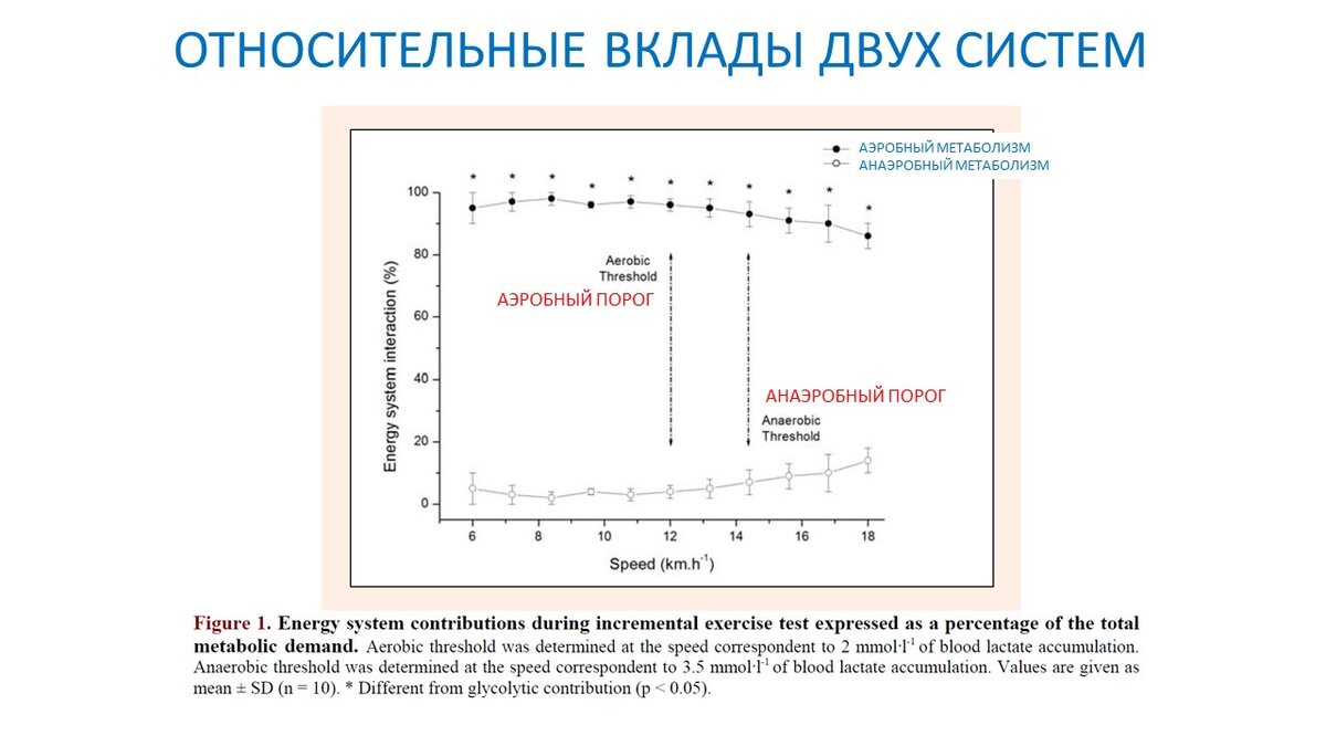 Существует ли анаэробная зона? К вопросу терминологии пульсовых зон |  Василий Волков | Дзен