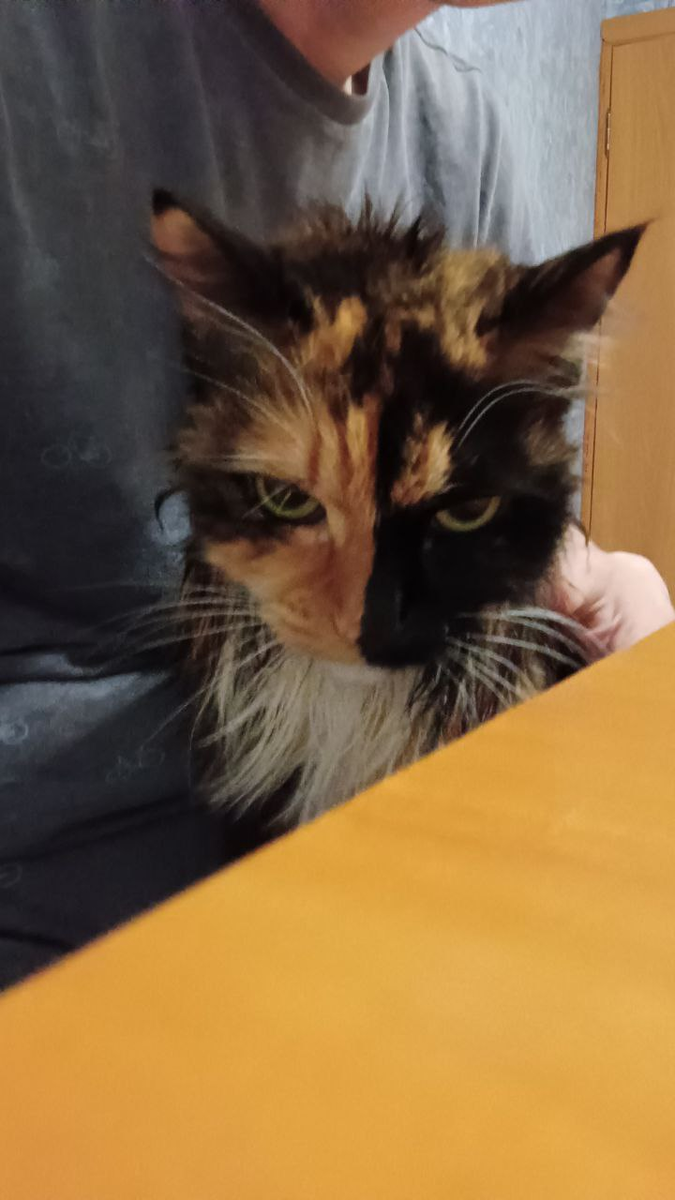 Недовольная