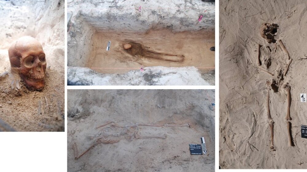    Фото: Университет Западной Австралии