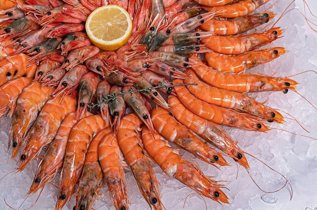    Фото: Кафе "Рыбная мануфактура №1"