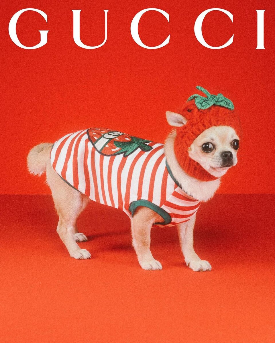 Фото: gucci.com