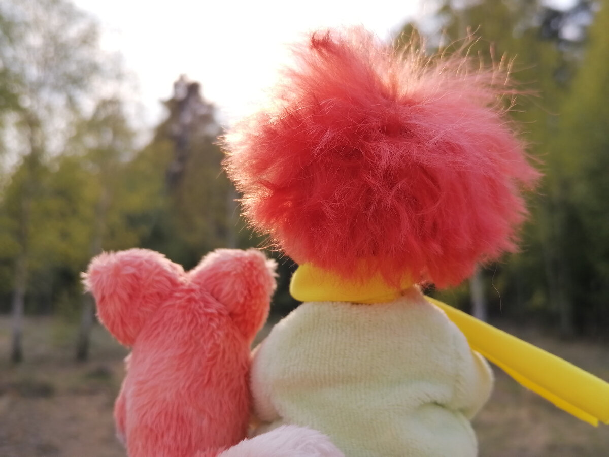 Сидят два товарища и смотрят на закатное солнышко. Хорошо им...