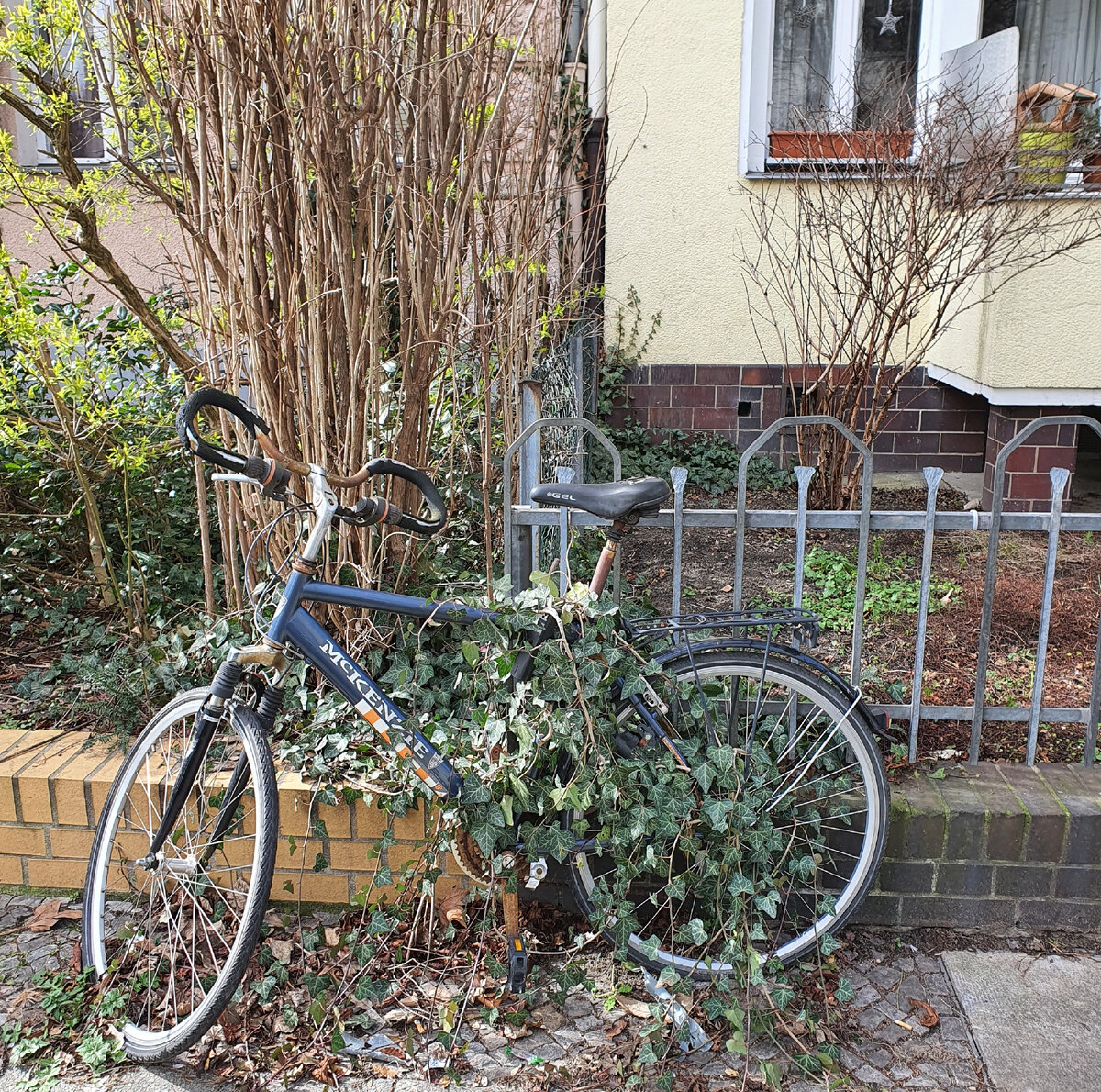 Припарковался на минуточку - а тут.. Джуманджи!)