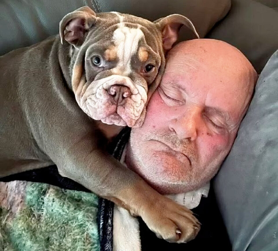 На самом деле, Харли очень любит Дэвида