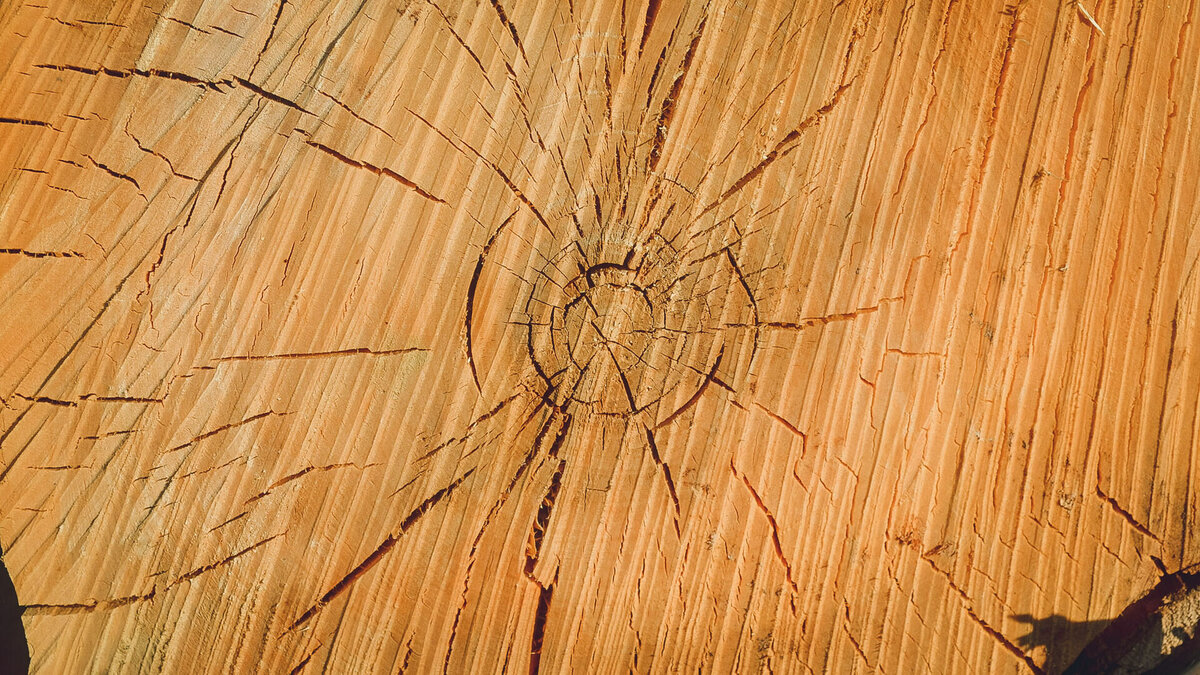     Сумма ущерба составила больше 1,8 млн рублей.