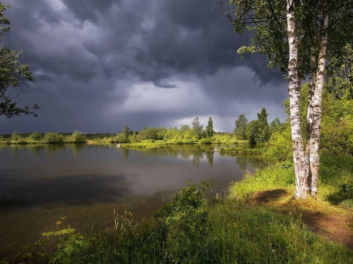 фото из открытых источников