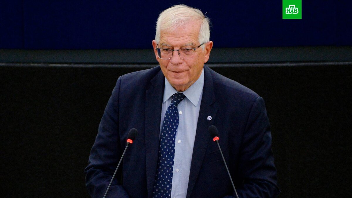    Фото: РИА Новости © 2023, Алексей Витвицкий