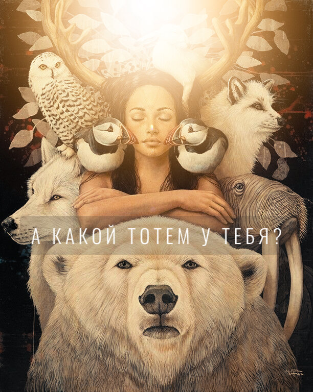 Арт из интернета 