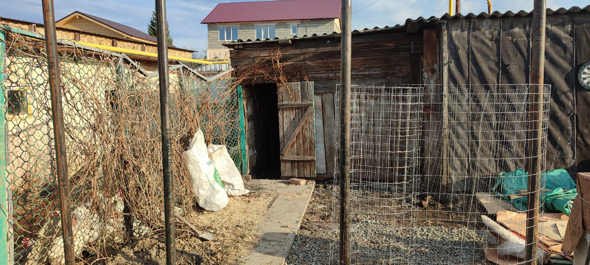 Вот здесь будет ещё один выгул. 