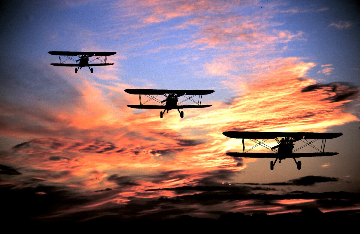 Картинка взята из общей сети Интернет