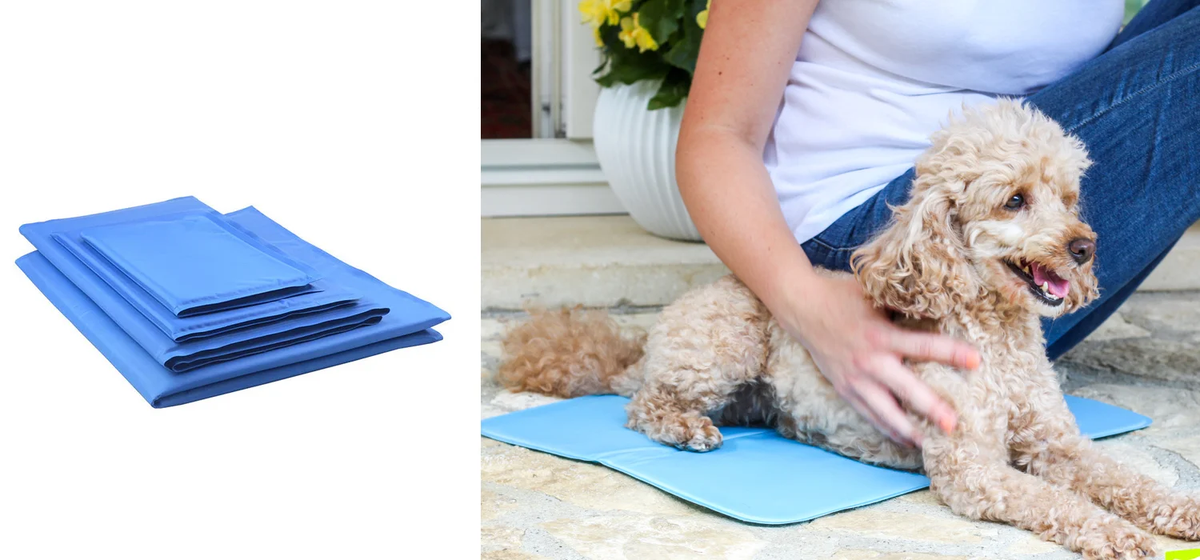 Добавьте описание