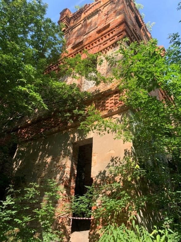    УГООКН Нижегородской области Арина Полтанова