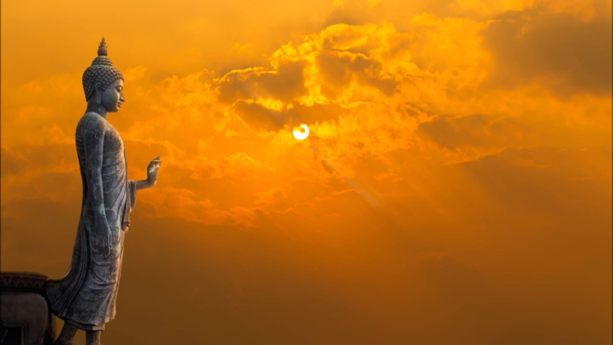 Фото из открытых источников.