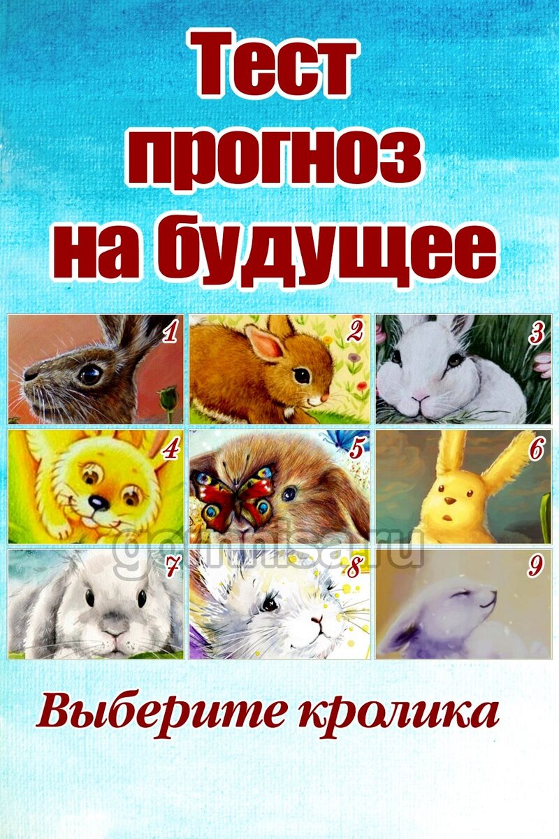    Тест прогноз на будущее — Выберите кролика Pavlov A