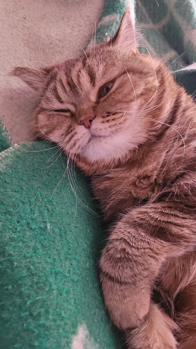 Личное фото автора