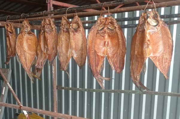 Вяленный Лещ - Fishing BRO