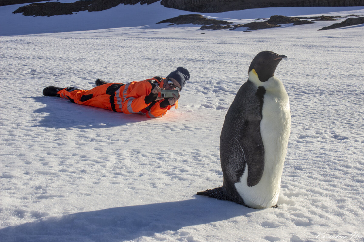 Фото И.Карандеева