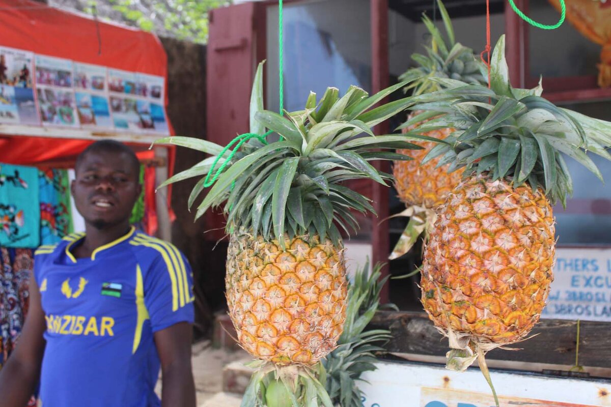 Ананасы тут растут везде