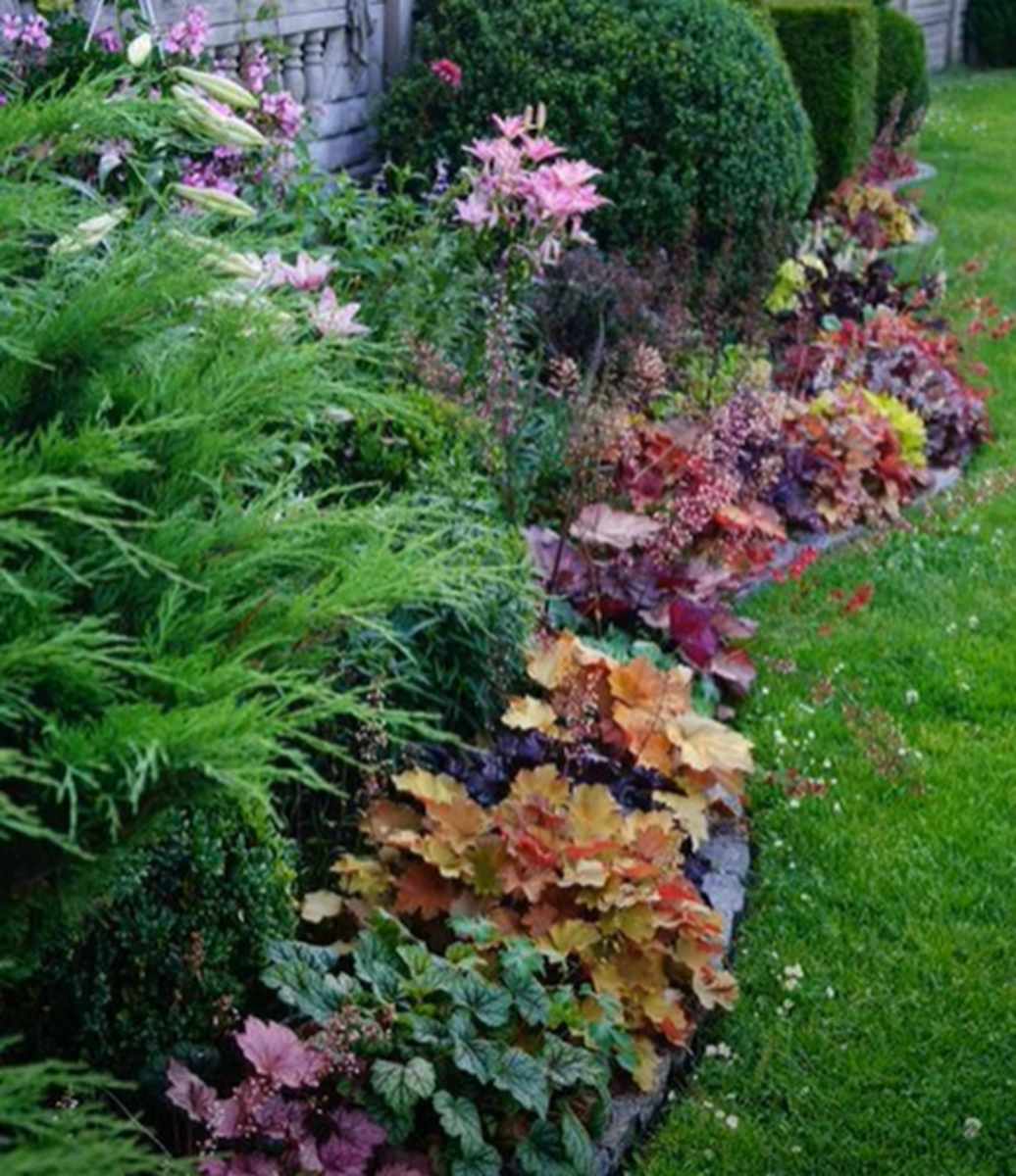 Фото из интернета, которое заставило меня иначе взглянуть на гейхеры