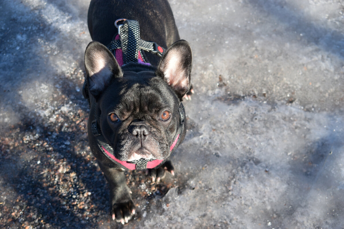 Photo by Andres Siimon on Unsplash