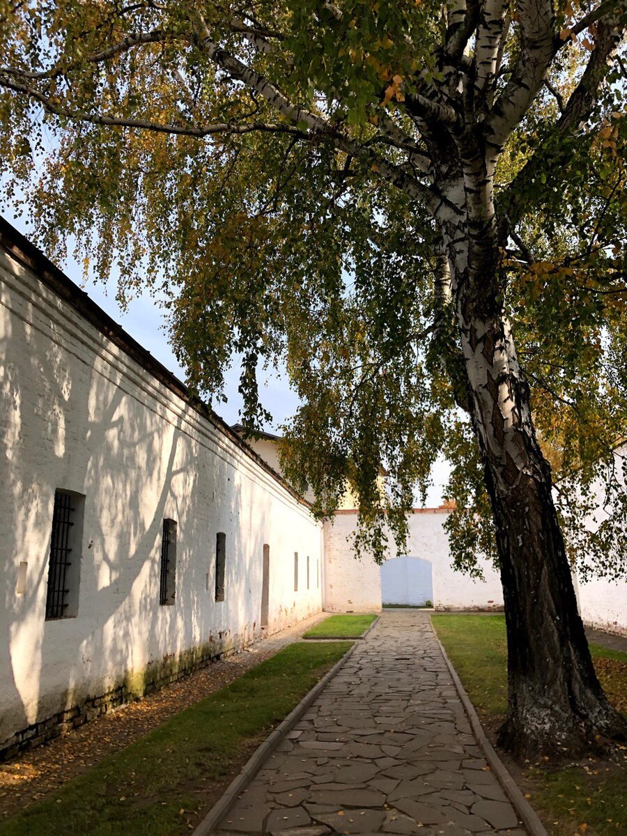 Увлекательный Суздаль с ребенком. Где остановиться, что посмотреть, где  поесть (с ценами) | Цветом Атласа Семейных Приключений | Дзен