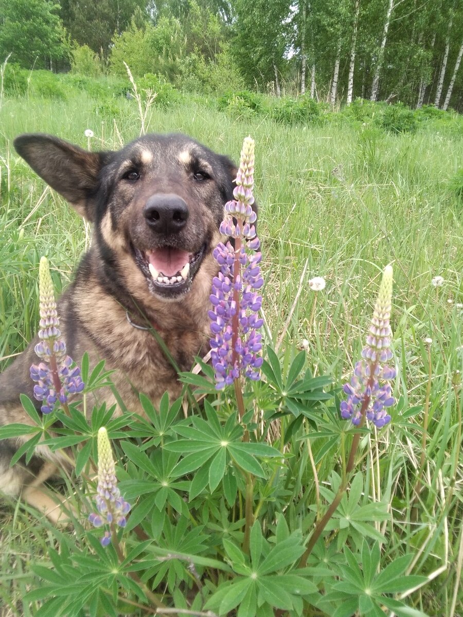 Фото автора. 