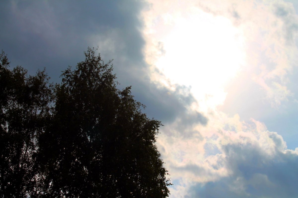    В Ростове в субботу, 3 июня, возможен небольшой кратковременный дождь