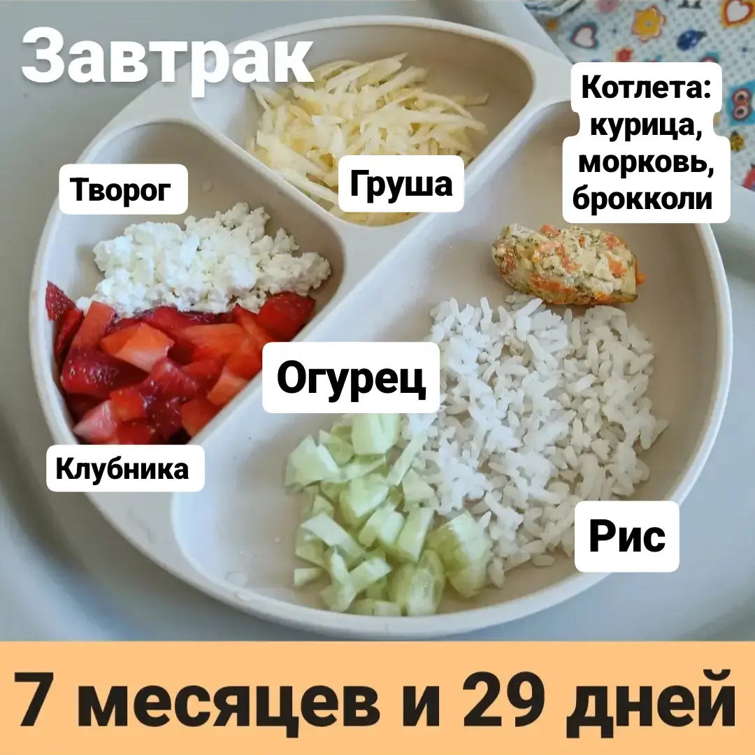Пример тарелки в 7 месяцев 