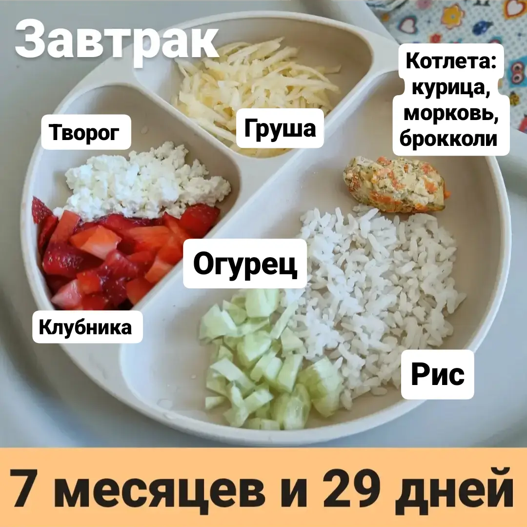 Прикорм. Тарелка 7 месяцев и 29 дней. Завтрак. | В поисках дома ❤️ Вьетнам  🇻🇳 Нячанг | Дзен